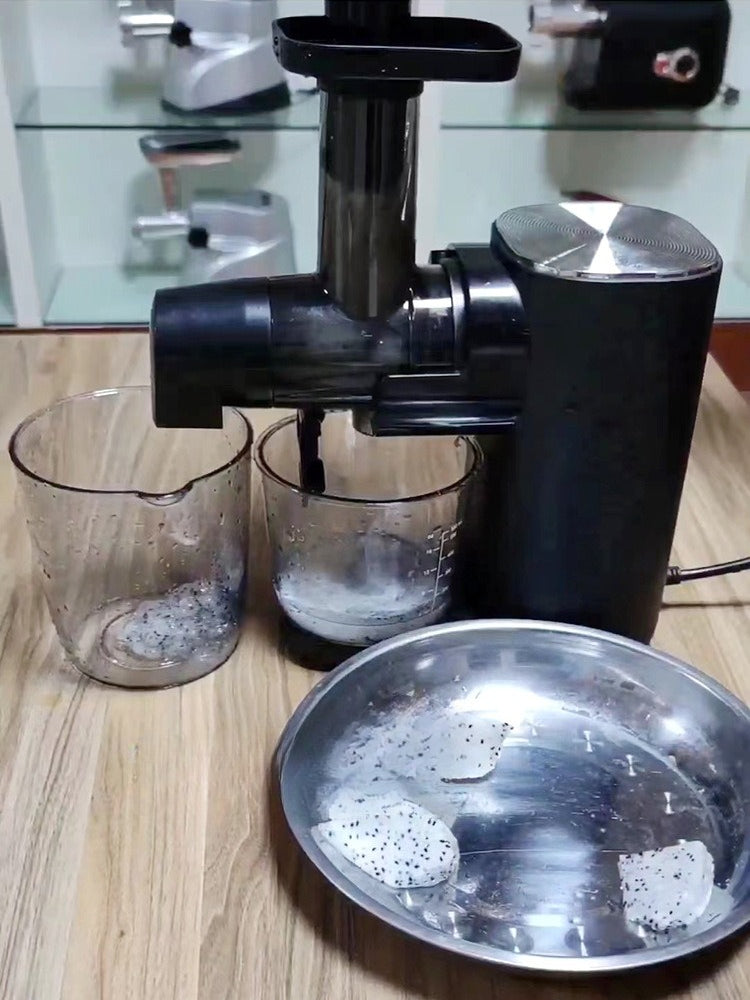 Horizontal Slow Masticating Juicer Quiet Large Feed Chute Cold Press Juicer with Juice Pulp Separation