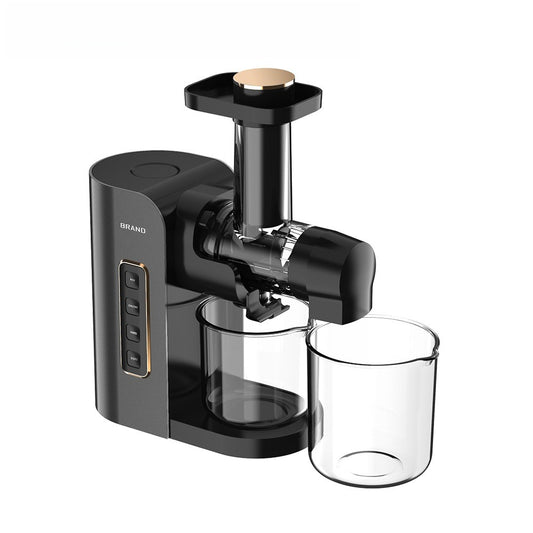 Horizontal Slow Masticating Juicer Quiet Large Feed Chute Cold Press Juicer with Juice Pulp Separation