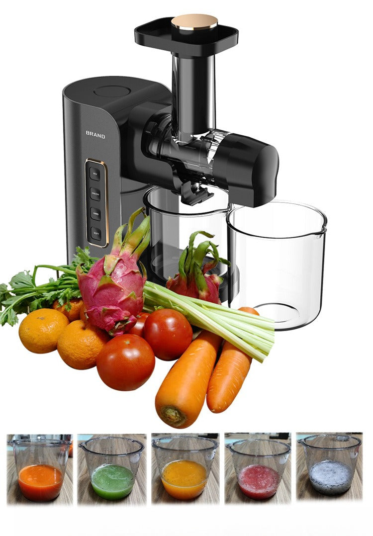 Horizontal Slow Masticating Juicer Quiet Large Feed Chute Cold Press Juicer with Juice Pulp Separation