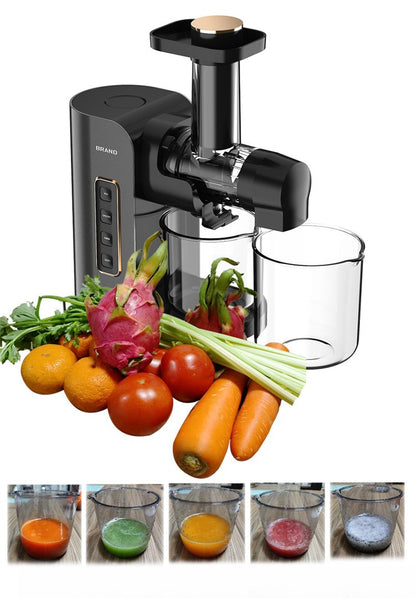 Horizontal Slow Masticating Juicer Quiet Large Feed Chute Cold Press Juicer with Juice Pulp Separation