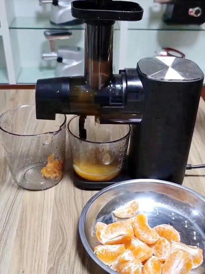 Horizontal Slow Masticating Juicer Quiet Large Feed Chute Cold Press Juicer with Juice Pulp Separation