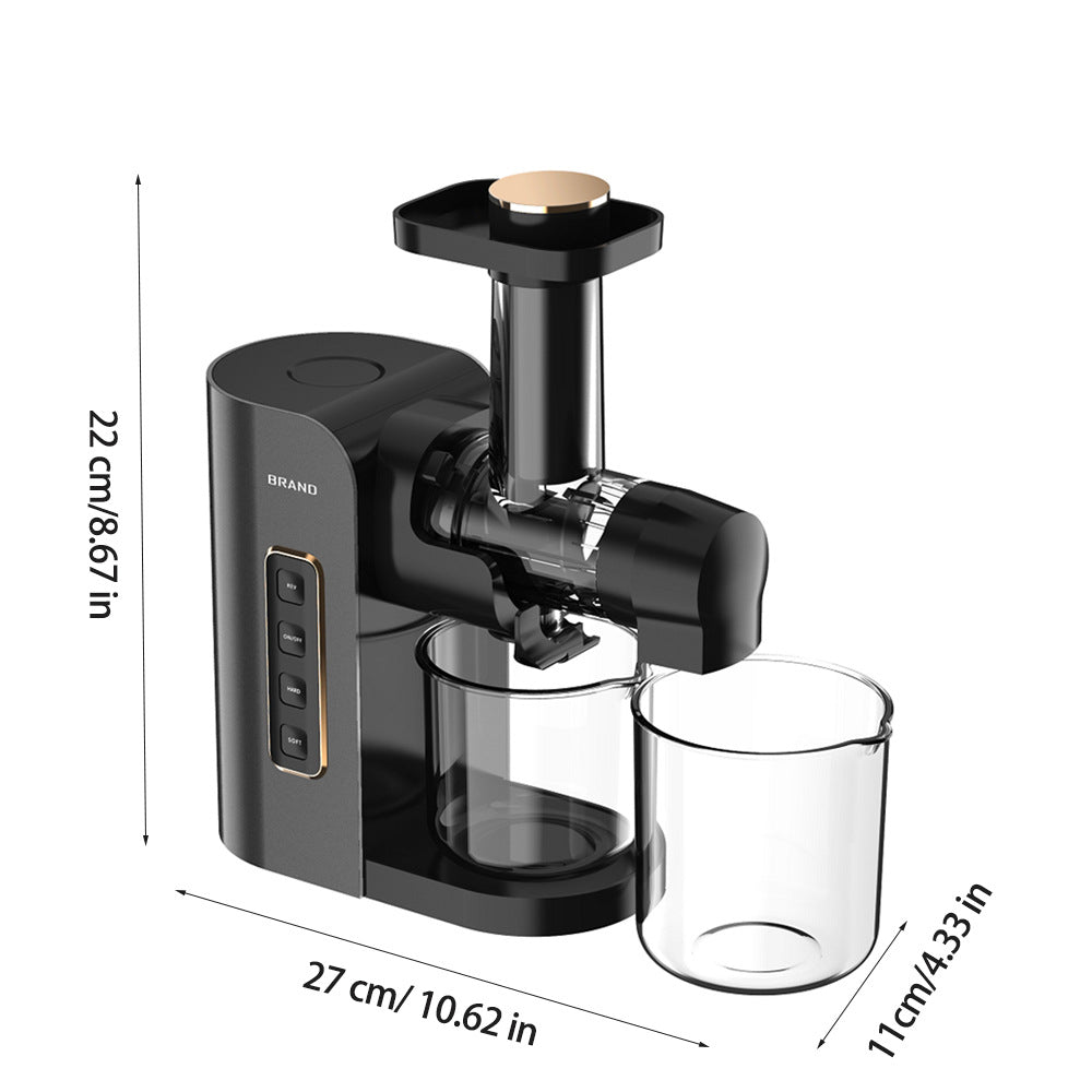 Horizontal Slow Masticating Juicer Quiet Large Feed Chute Cold Press Juicer with Juice Pulp Separation