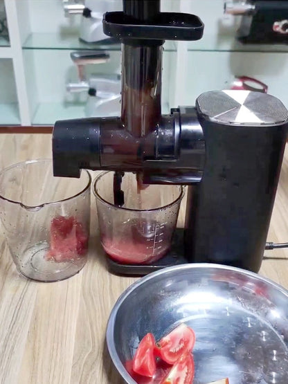 Horizontal Slow Masticating Juicer Quiet Large Feed Chute Cold Press Juicer with Juice Pulp Separation