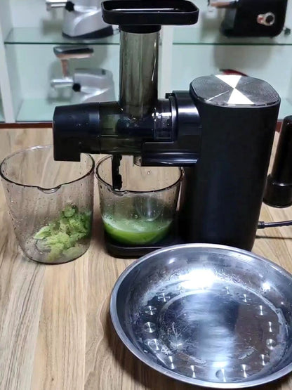 Horizontal Slow Masticating Juicer Quiet Large Feed Chute Cold Press Juicer with Juice Pulp Separation